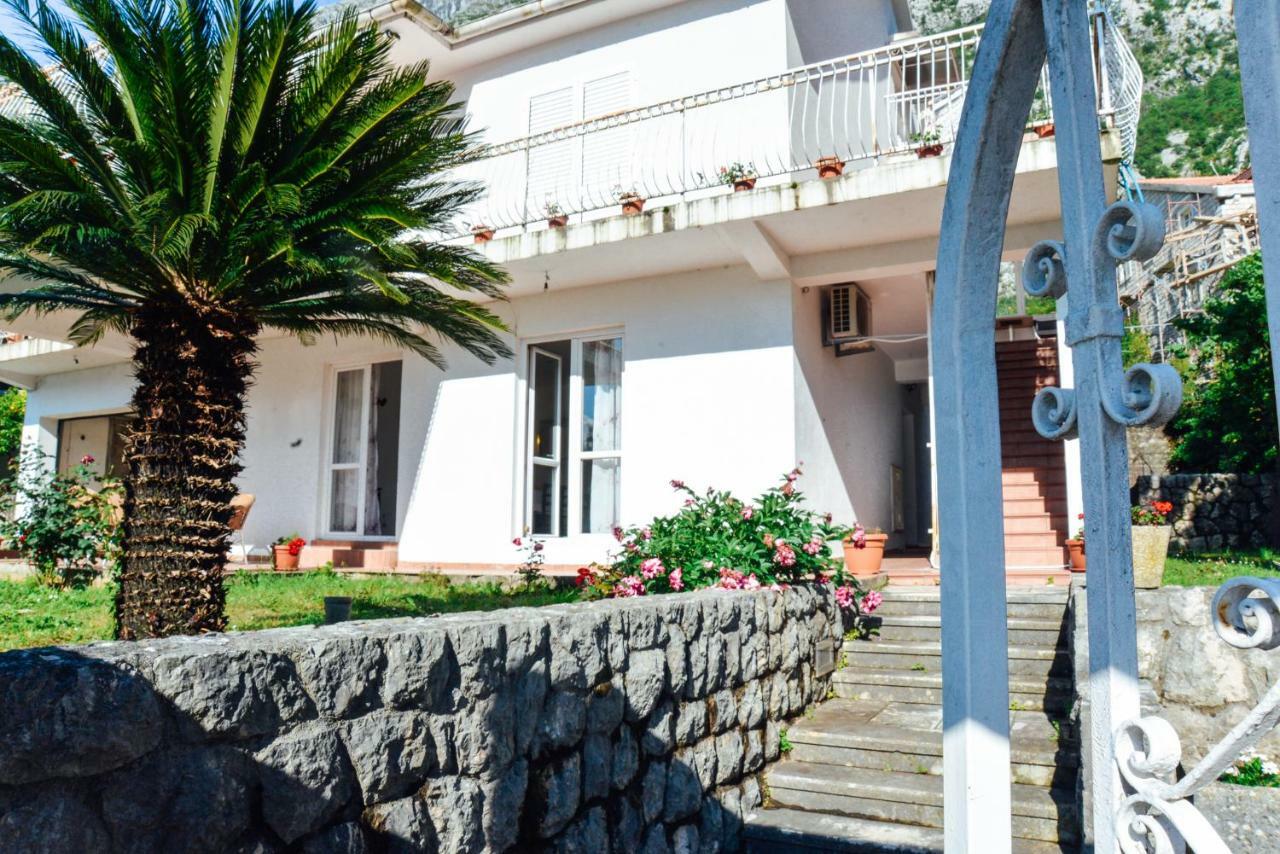 Waterfront Apartment Petrovina Kotor Exterior photo